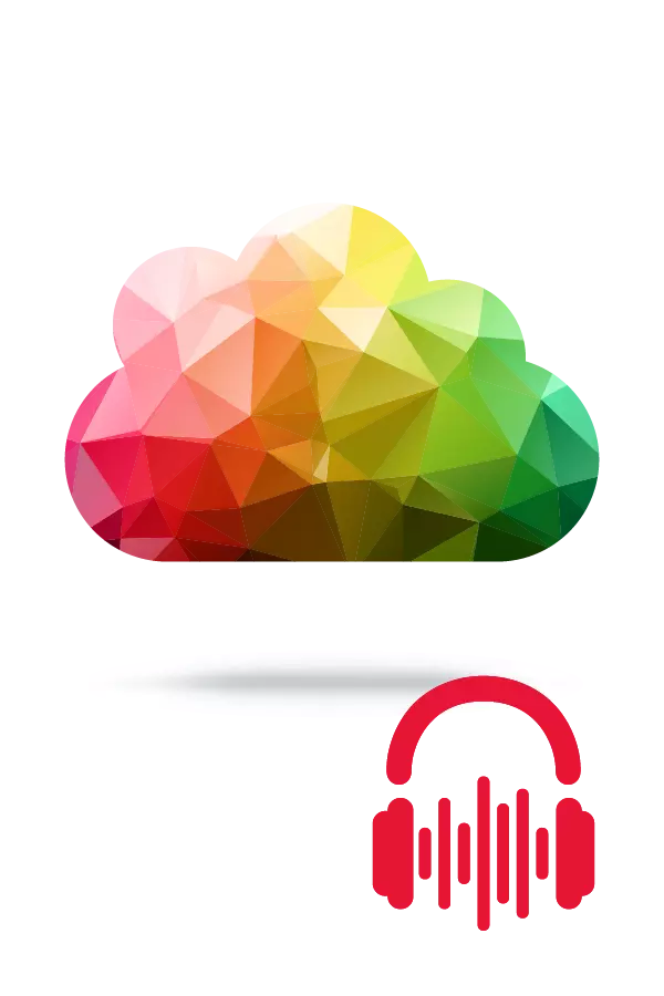 5G and Government Money